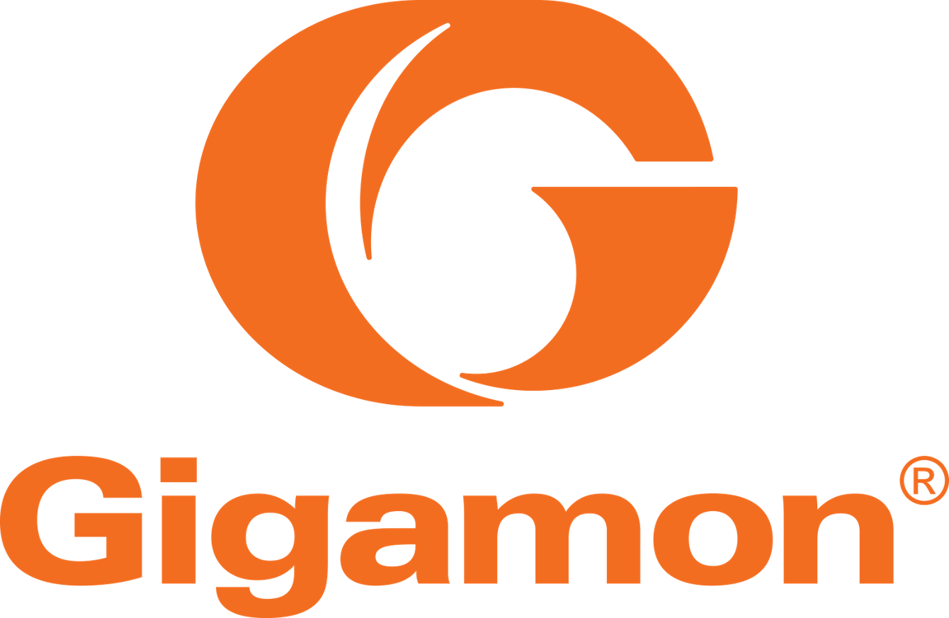 logo new Gigamon.png